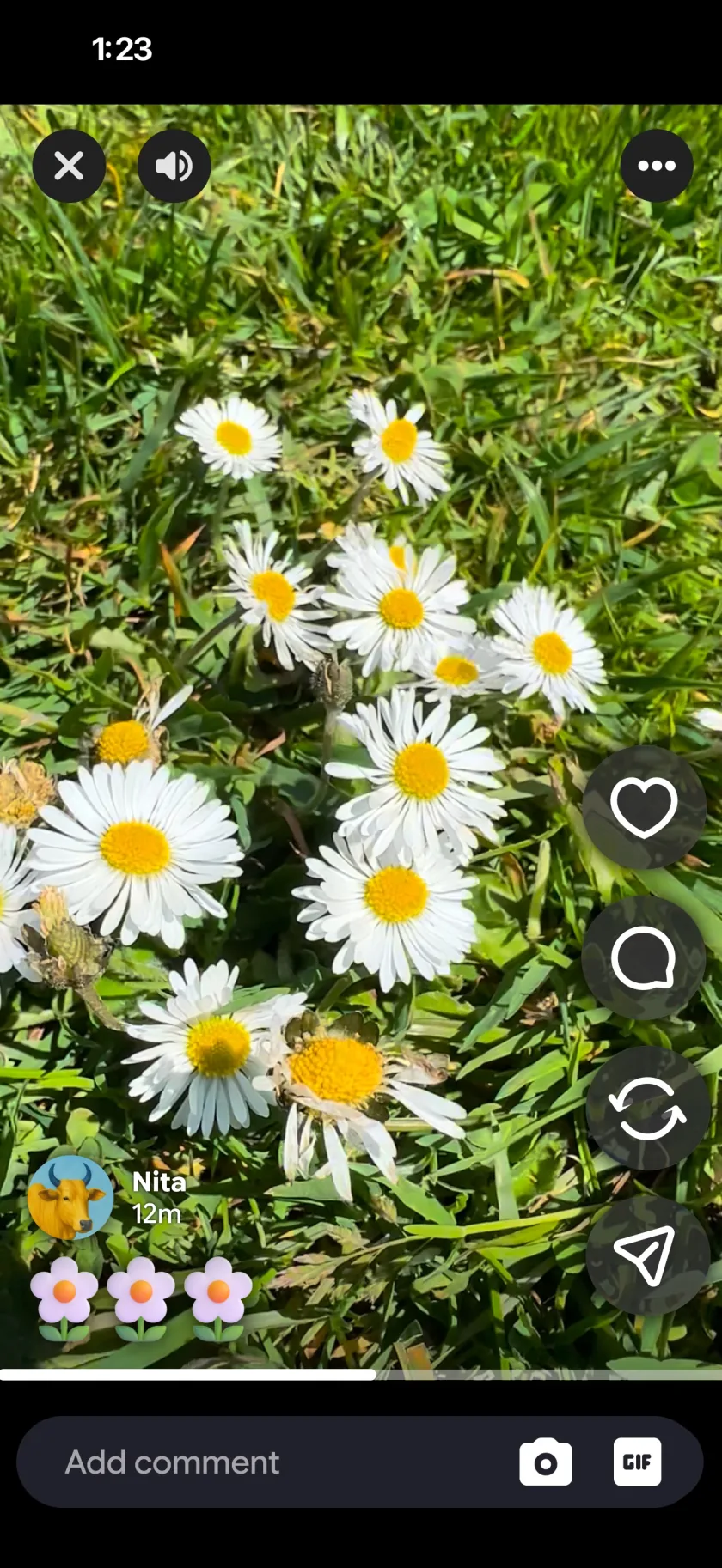 Khemera Social video screen.